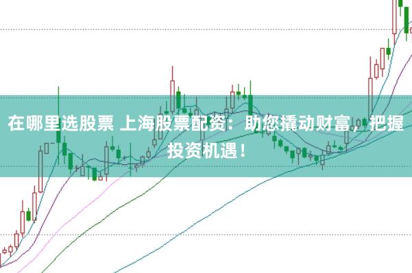 在哪里选股票 上海股票配资：助您撬动财富，把握投资机遇！