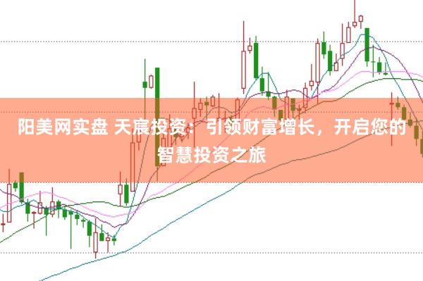 阳美网实盘 天宸投资：引领财富增长，开启您的智慧投资之旅