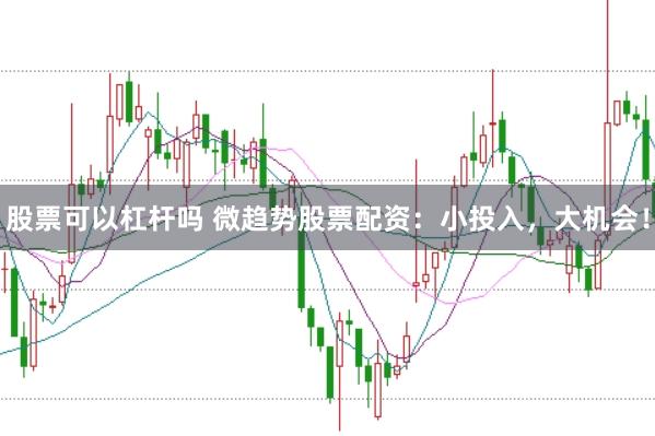 股票可以杠杆吗 微趋势股票配资：小投入，大机会！