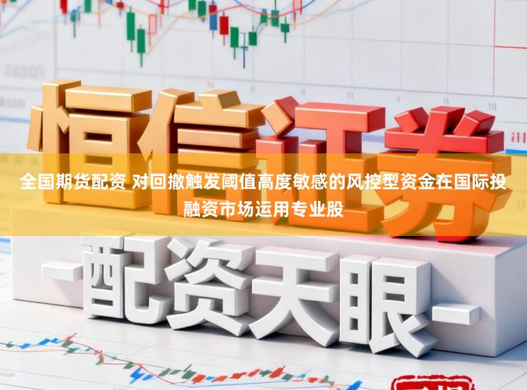 全国期货配资 对回撤触发阈值高度敏感的风控型资金在国际投融资市场运用专业股