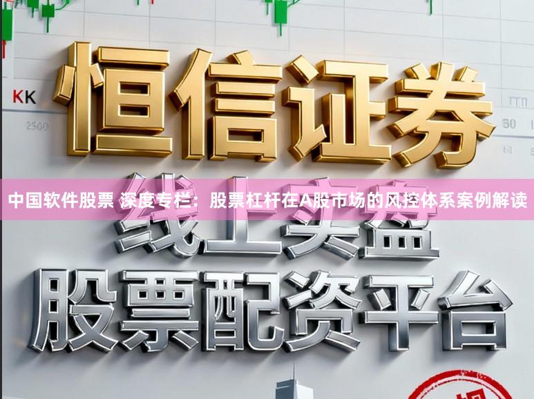 中国软件股票 深度专栏：股票杠杆在A股市场的风控体系案例解读