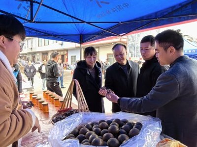 开年吃头菜 新年赢头彩--融安县首届头菜节在长安镇小洲村举行