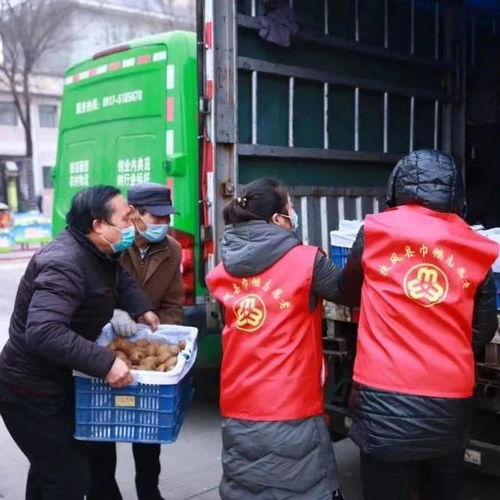 苏陕农副产品直通车 爱心助农 打通扶风农产品销售渠道